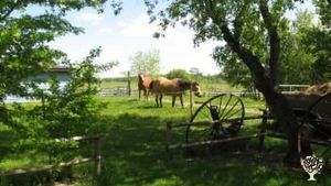 Equine-Facilitated Learning Centre and Retreat