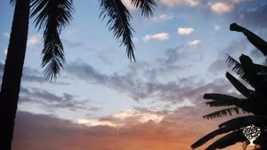 Warm Community - Coffee & C@c@o Farm - on Sunny Kona side