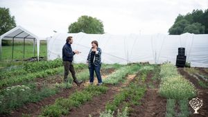 Tisanerie, production de plantes aromatiques et de fleurs comestibles