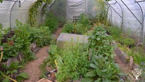Céramique et jardinage