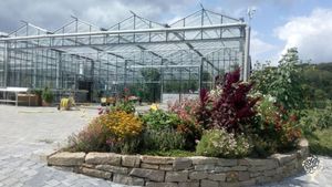 Das große Glasgewächshaus