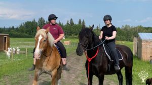 Our horses - May and Tam