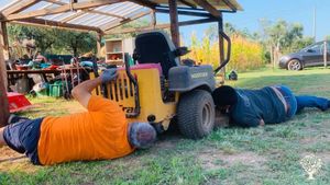 Agritourism Destination, Smallholding, Family farm