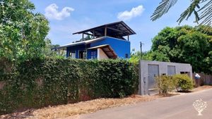 Eu estou transformando uma área degradada em uma agrofloresta.