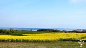 Organic flowerfarm at the sea