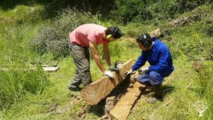 Smallholding, Orchard, Family farm