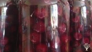 Selbstversorgerhof mit Schafen, Geflügel und Obstwiese