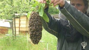 Preserved Seed Farm - Farma Uchované Semínko
