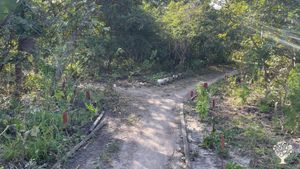 Organic Farm in the middle of a forest