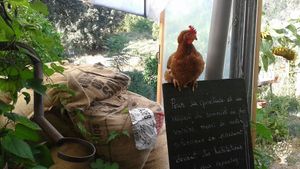 Ferme biologique (Ecocert)