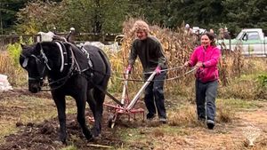 Suburban homestead teaching carpentry, cheesemaking, fiber arts, and fermentation