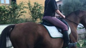 Horse riding!!! 😊