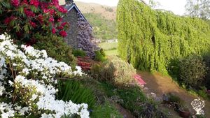 House and garden and woodland