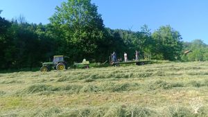 Ferme collective en installation : animaux, maraîchage, vergers, pain au feu de bois