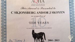 Horse Ranch - Breeding registered stock, training and sales