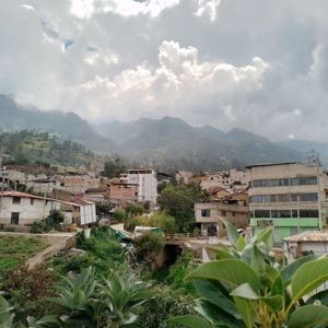 Octa