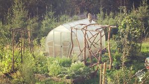 Small homestead with a developing food forest on Bear Mountain just over an hour from Vancouver.