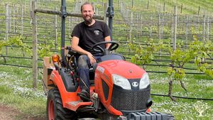 Boutique Winery and Lavender Farm on Vancouver Island, BC