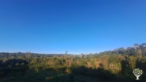 Chacra agroturistica agroflorestal. Restaurando un pedacito de selva.