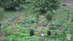 Communauté de moines bénédictins