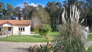 Chacra con parque, huerta, frutales, monte