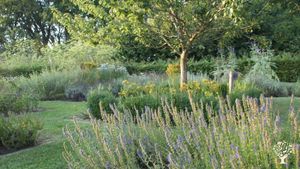 Kwekerij voor zaden, plantjes en pootgoed van bijzondere eetbare gewassen