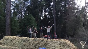 Off-grid market veggie and award winning legal regenerative cannabis farm in the redwood country