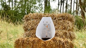 Agritourism Destination, Family farm