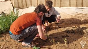 Lieu d'accueil au milieu du désert marocain avec potager.