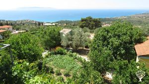 Family home and garden - rural