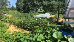 Non-commercial little family aiming for self-sufficiency