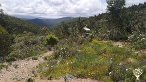 Off-grid mountain farm, focused on self-sufficiency in water,  food , electricity & eco-construction