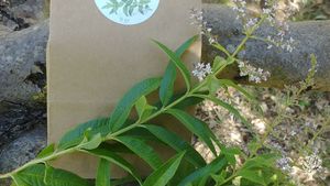 Micro ferme en agroécologie dans les Alpes de Haute Provence
