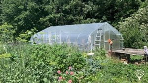 Small homestead with chickens, a large vegetable and herb garden, berries, flowers, fruit and more