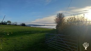 Fibre Farm and Smallholding