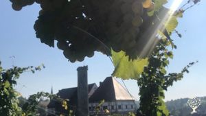 BioWeingut in Württemberg  mit Weinausbau, Vermarktung und Gastronomie, Ackerbau und Vieh