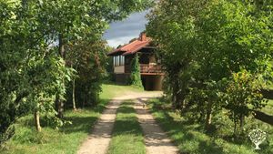 Organic sustainable farm OR Theatre/Art  Wwoofing residency opportunity