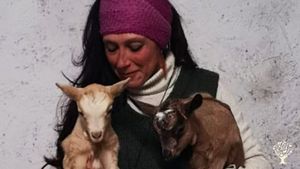 A small eco farm and peaceful retreat in the Tuscan-Emilian Apennines, near Modena.