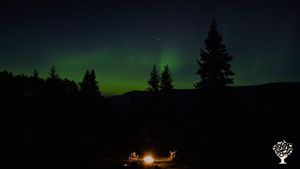 Northern Lights - occasionally seen from the farm