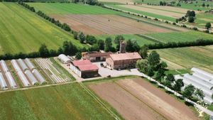 Azienda agricola biologica in provincia di Reggio Emilia