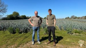 We are an Organic / Regenerative / Biodynamic farm producing vegetables and grain