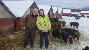 Regenerative, organic, pigs, chickens, cows and vegetables, located in the wilderness of Alberta