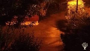 Llevamos más de 30 años creando un espacio con la máxima ecosostenibilidad,