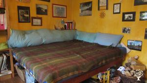 Tiere fordern und fördern Kinder