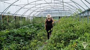 Ferme maraichère biologique, non mécanisé