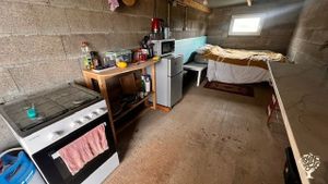 Transformational Organic Olive Farm