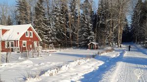 Market Garden, Family farm, Homestead, agroforestry, community garden.