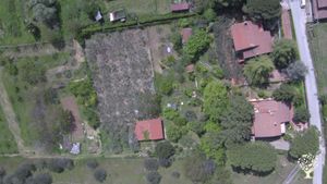 main part of the garden to care