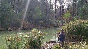 Meditation by the Pond