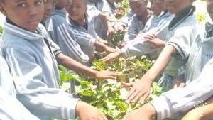 Cacilia garden is found in mkwajuni Songwe Tanzania 🇹🇿